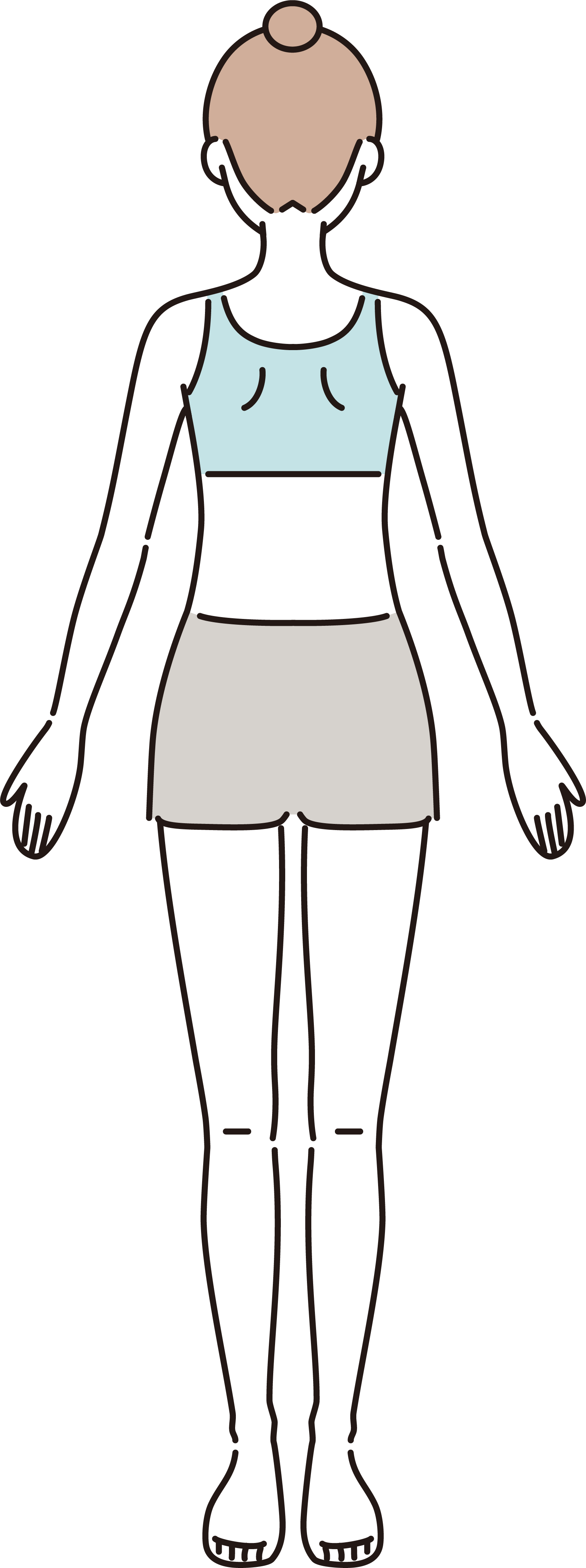 背面の部位別イラスト